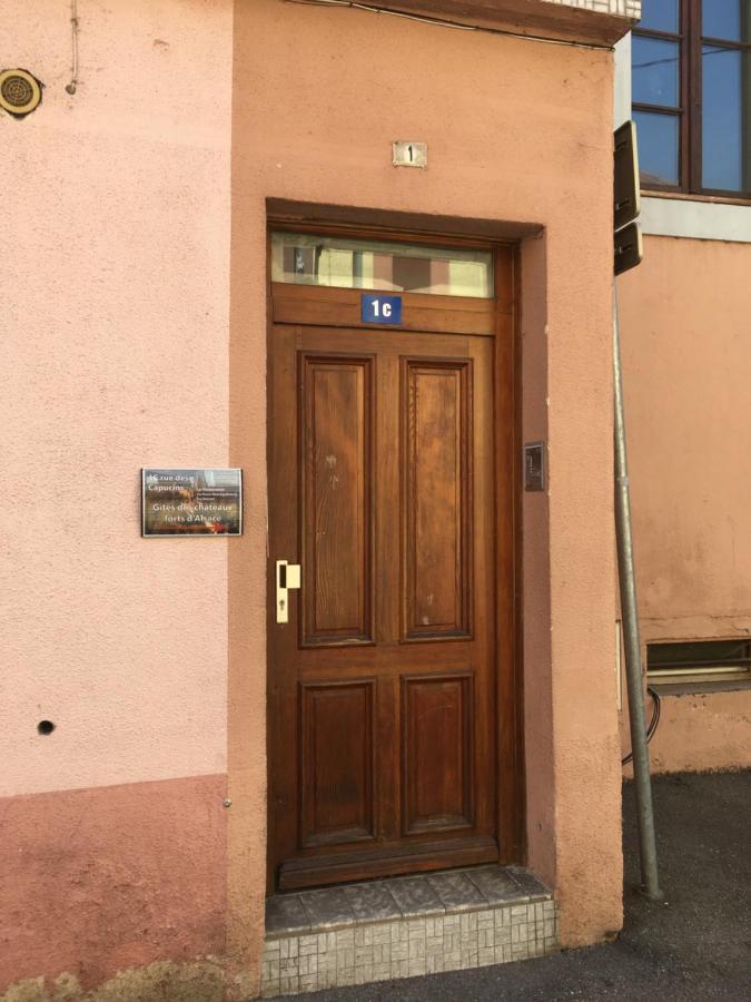 Le Gite 6 - Le Chateau Du Haut-Koenigsbourg Selestat Ngoại thất bức ảnh